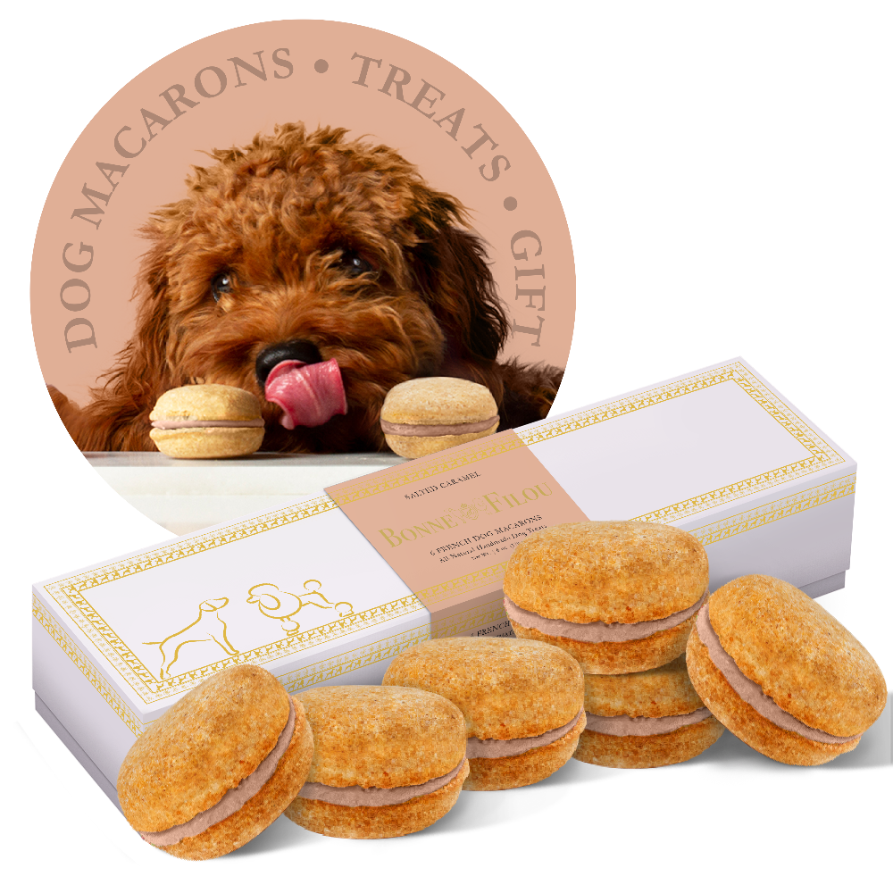 Gourmet Dog Macarons – Premium Handmade Treats Box of 6