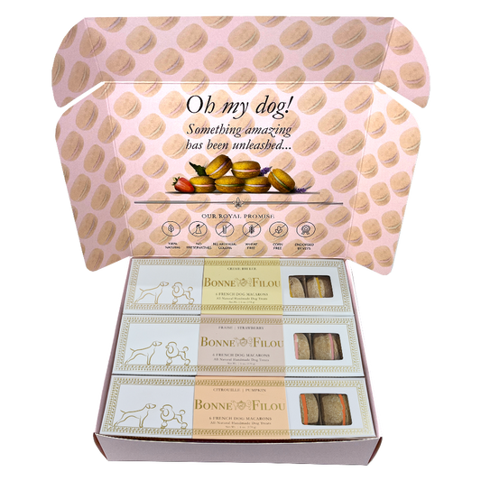 Luxury Dog Macaron Combo Gift Box – Gourmet Treats for Pups