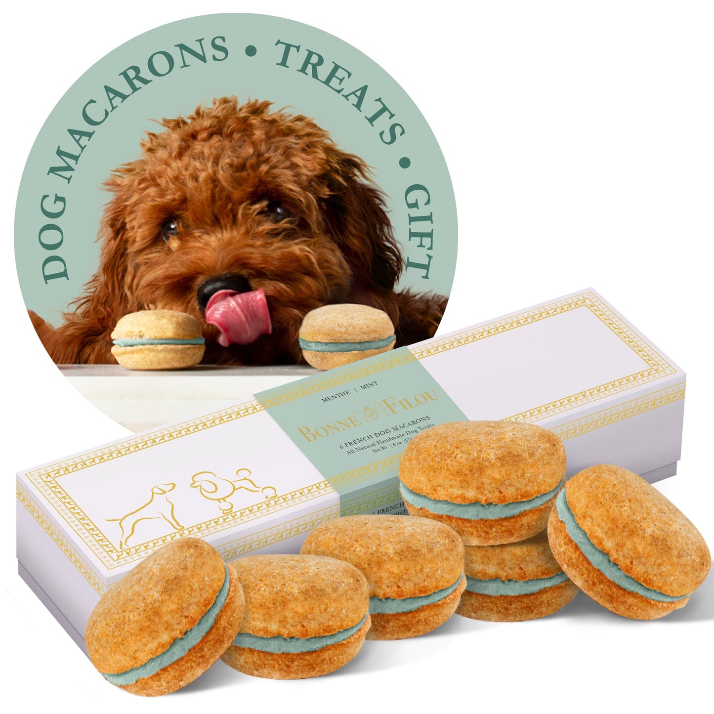 Gourmet Dog Macarons – Premium Handmade Treats Box of 6