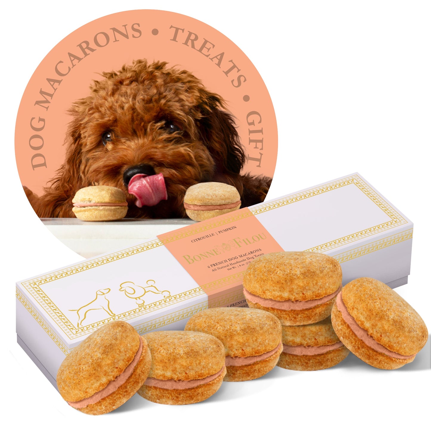 Gourmet Dog Macarons – Premium Handmade Treats Box of 6