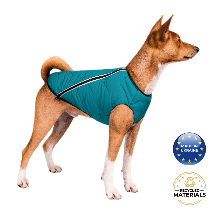 All-Weather Eco Dog Jacket – Waterproof, Windproof & Made in Ukraine