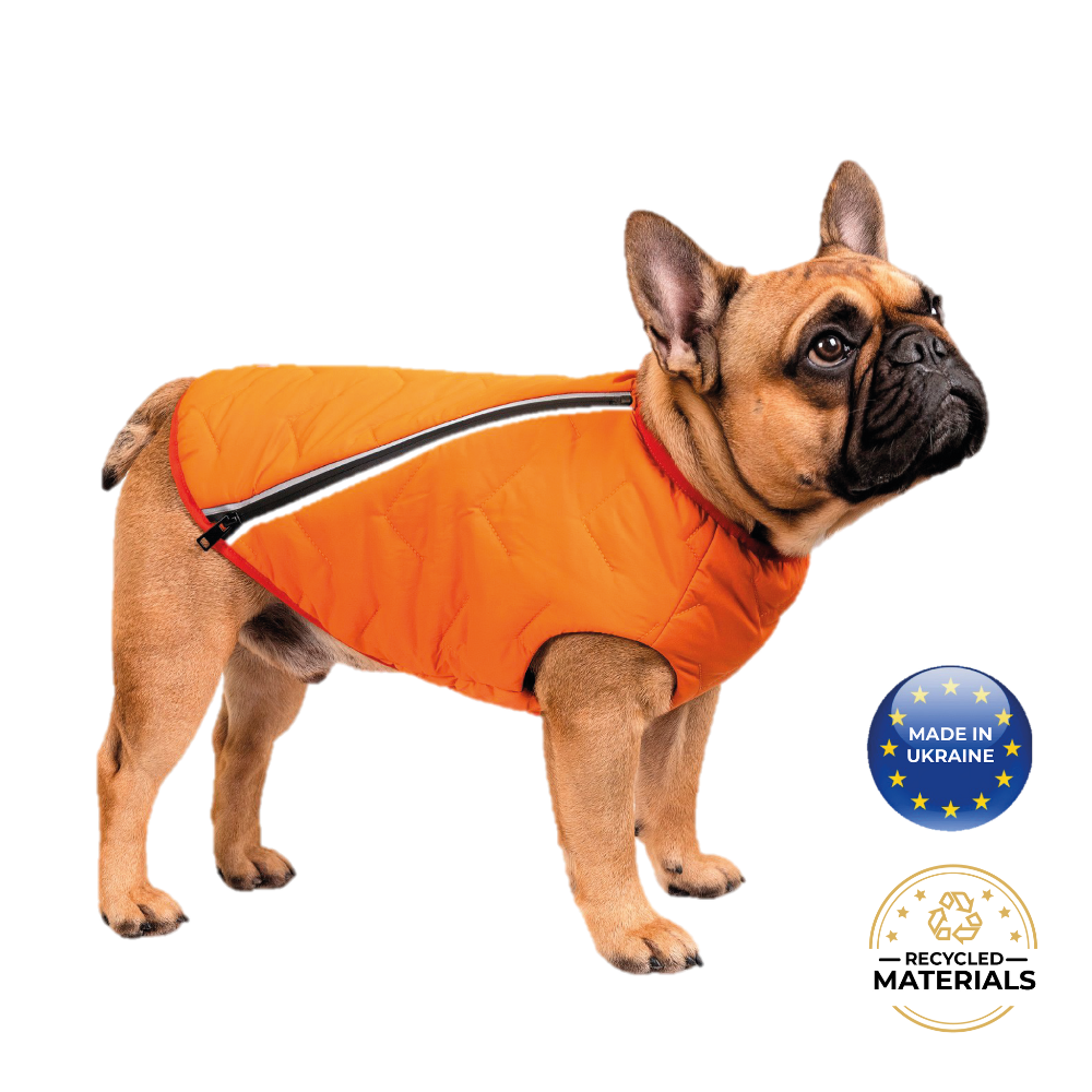 All-Weather Eco Dog Jacket – Waterproof, Windproof & Made in Ukraine