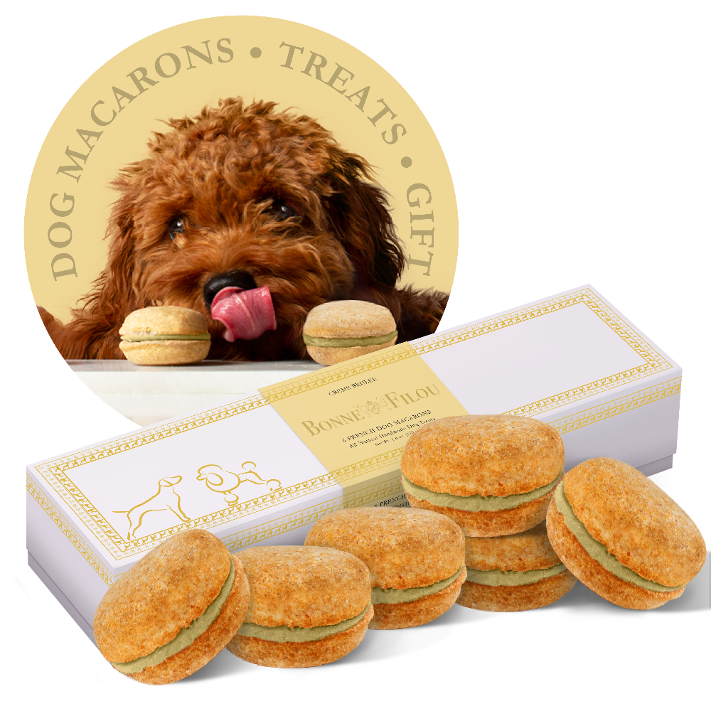 Gourmet Dog Macarons – Premium Handmade Treats Box of 6