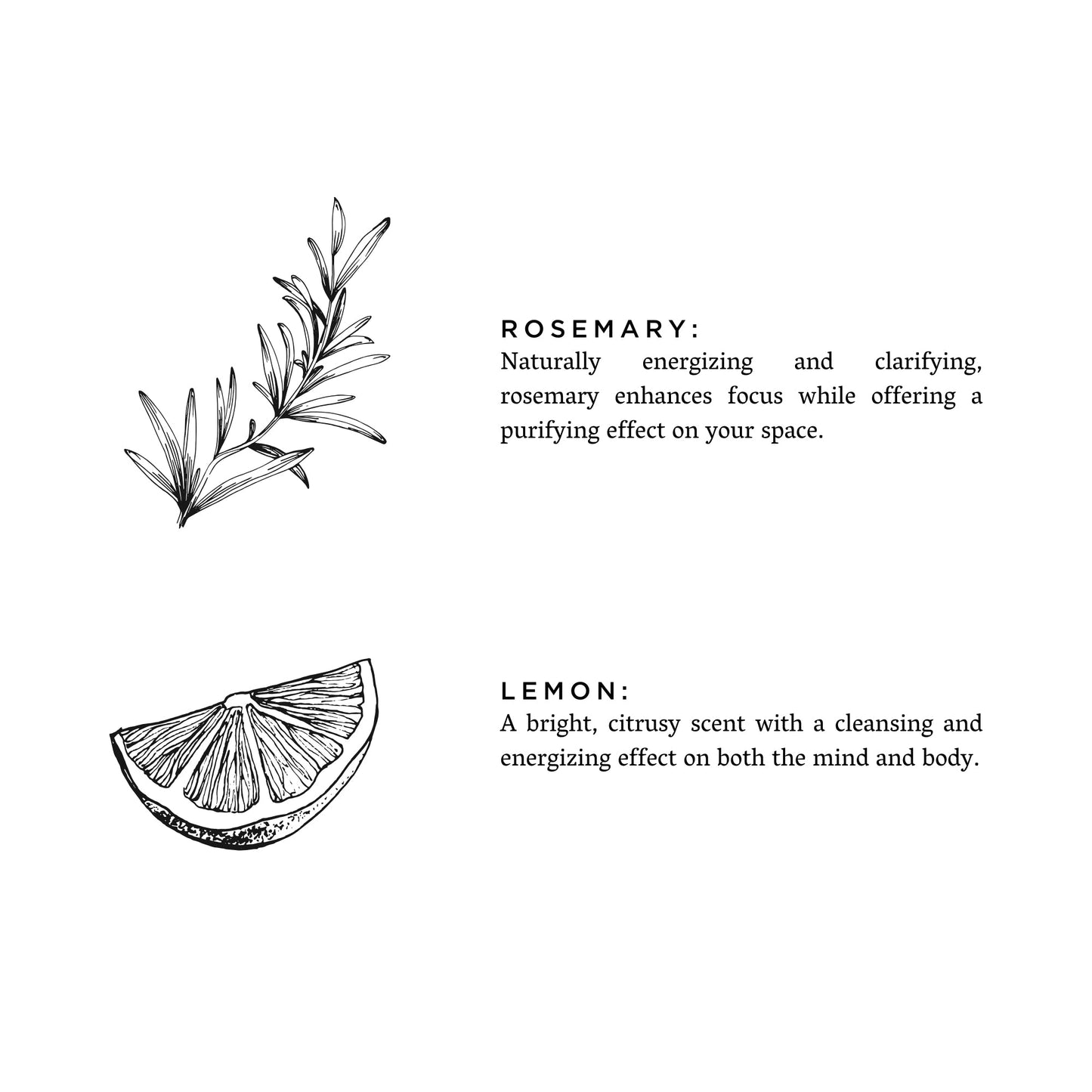 Rosemary + Lemon Signature 3‑Wick Candle