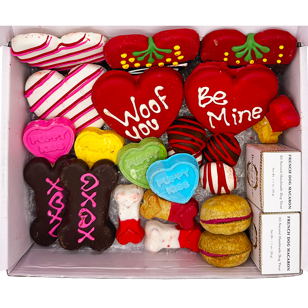 Love My Dog Gourmet Treat Box – 22 Handmade Pet Delights