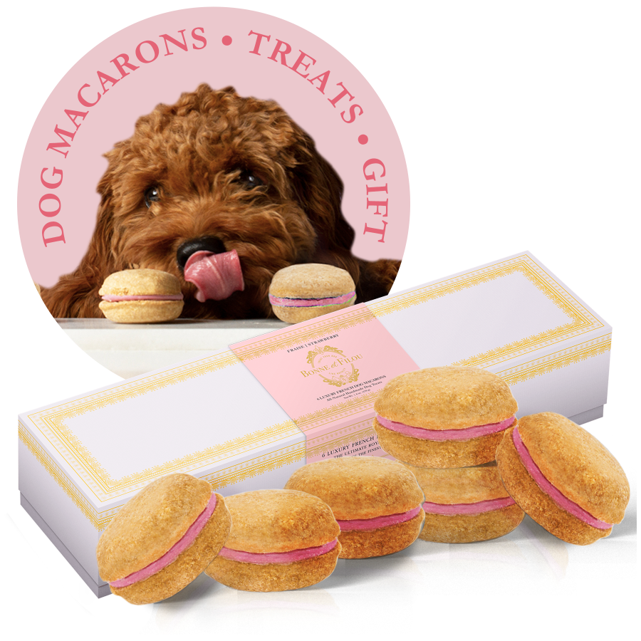 Gourmet Dog Macarons – Premium Handmade Treats Box of 6