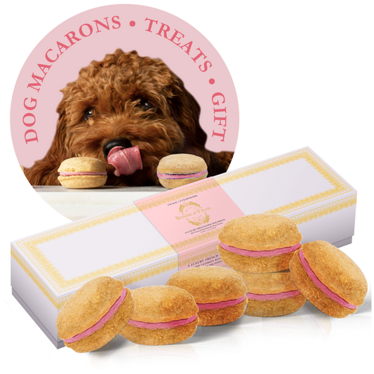 Gourmet Dog Macarons – Premium Handmade Treats Box of 6