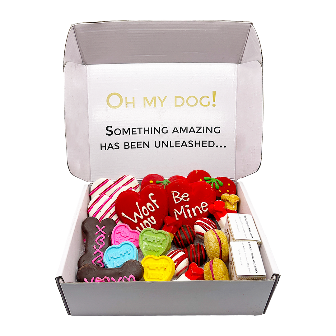 Love My Dog Gourmet Treat Box – 22 Handmade Pet Delights