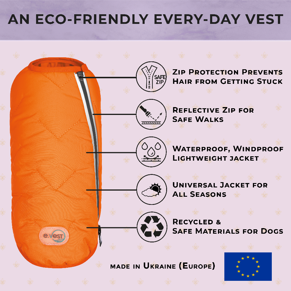 All-Weather Eco Dog Jacket – Waterproof, Windproof & Made in Ukraine