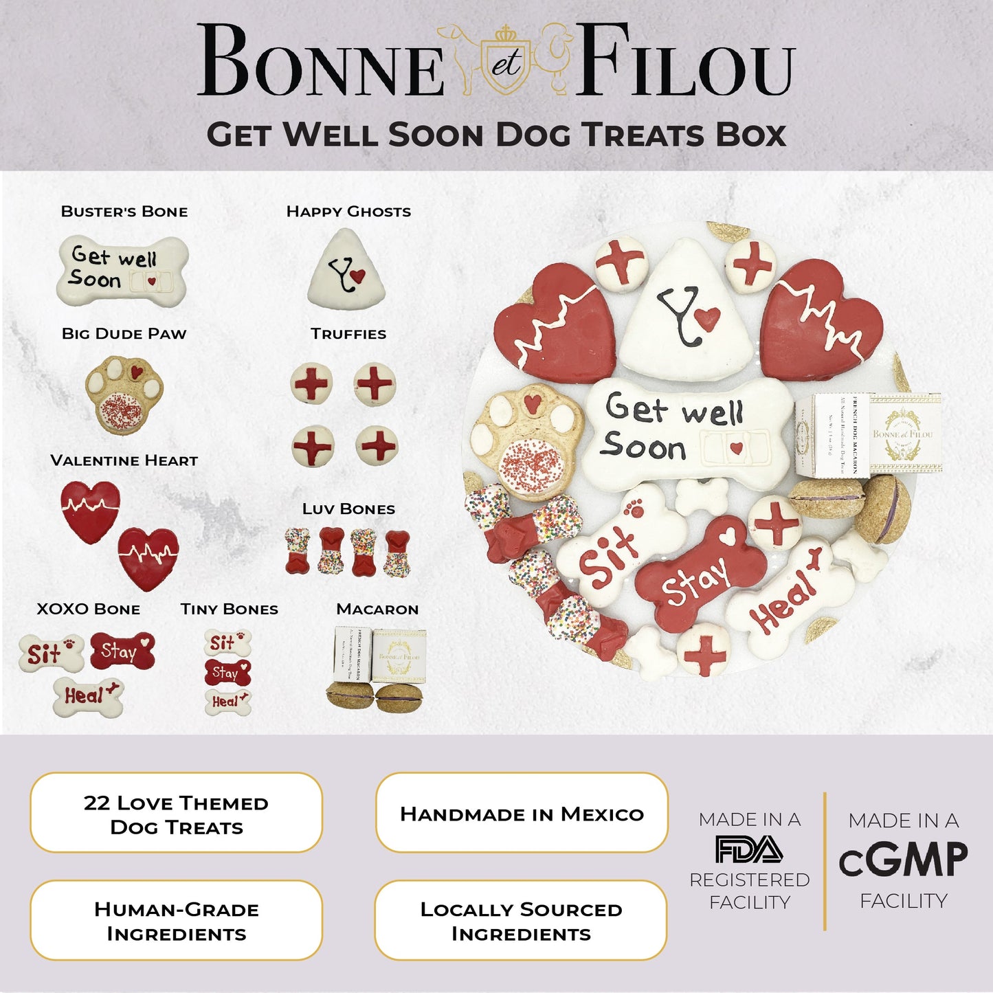 Get Well Soon Dog Treat Gift Box – 21 Gourmet Treats