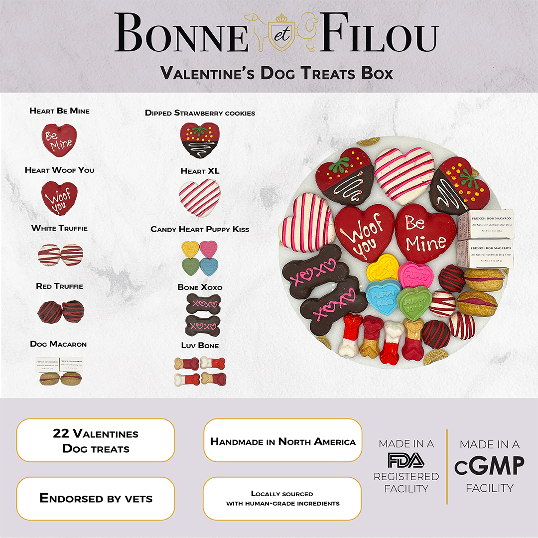 Love My Dog Gourmet Treat Box – 22 Handmade Pet Delights