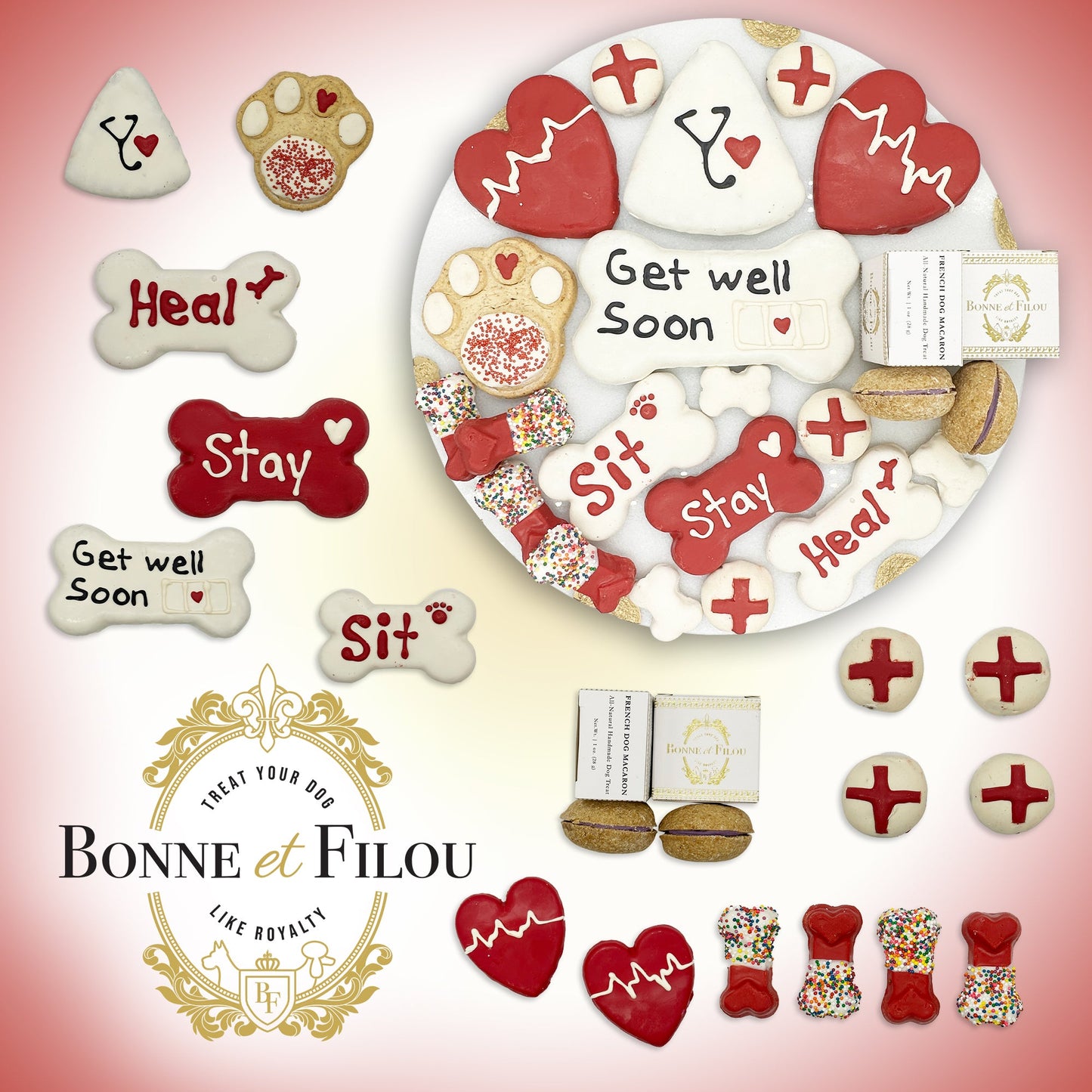 Get Well Soon Dog Treat Gift Box – 21 Gourmet Treats