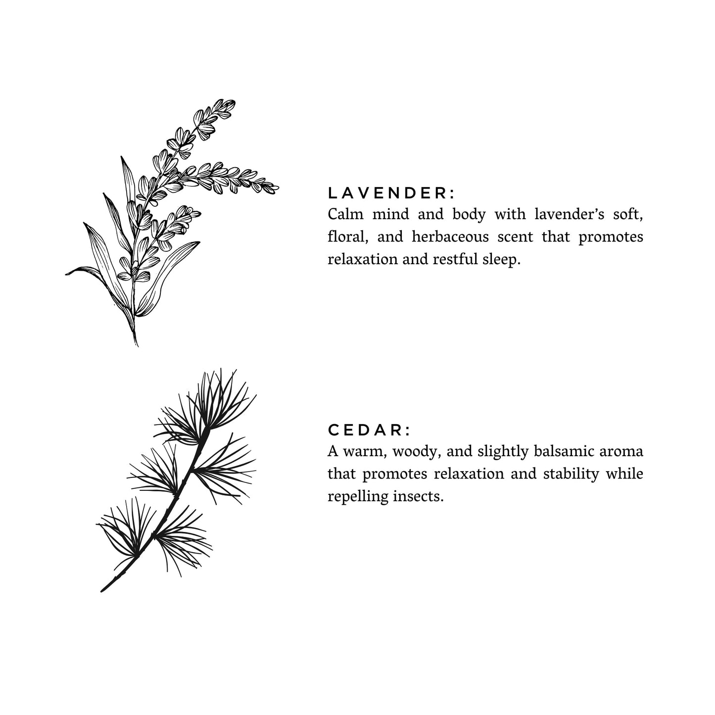 Lavender + Cedar Signature 3-Wick Candle
