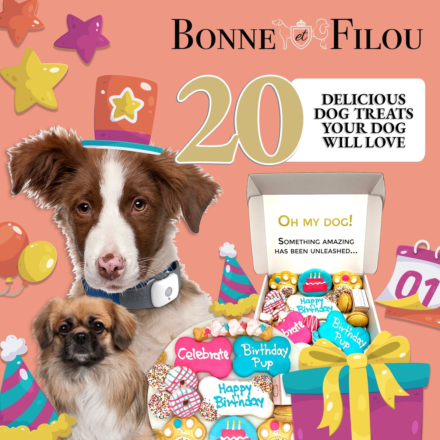 Luxury Happy Birthday Dog Treat Box with 20 Gourmet Treats