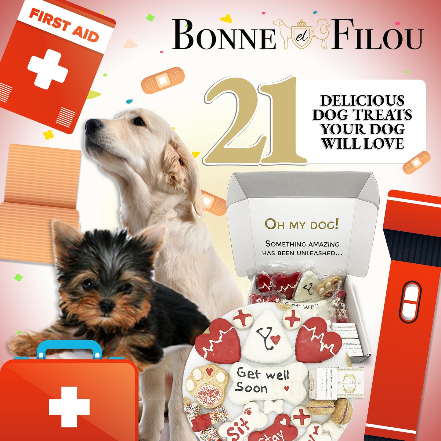 Get Well Soon Dog Treat Gift Box – 21 Gourmet Treats
