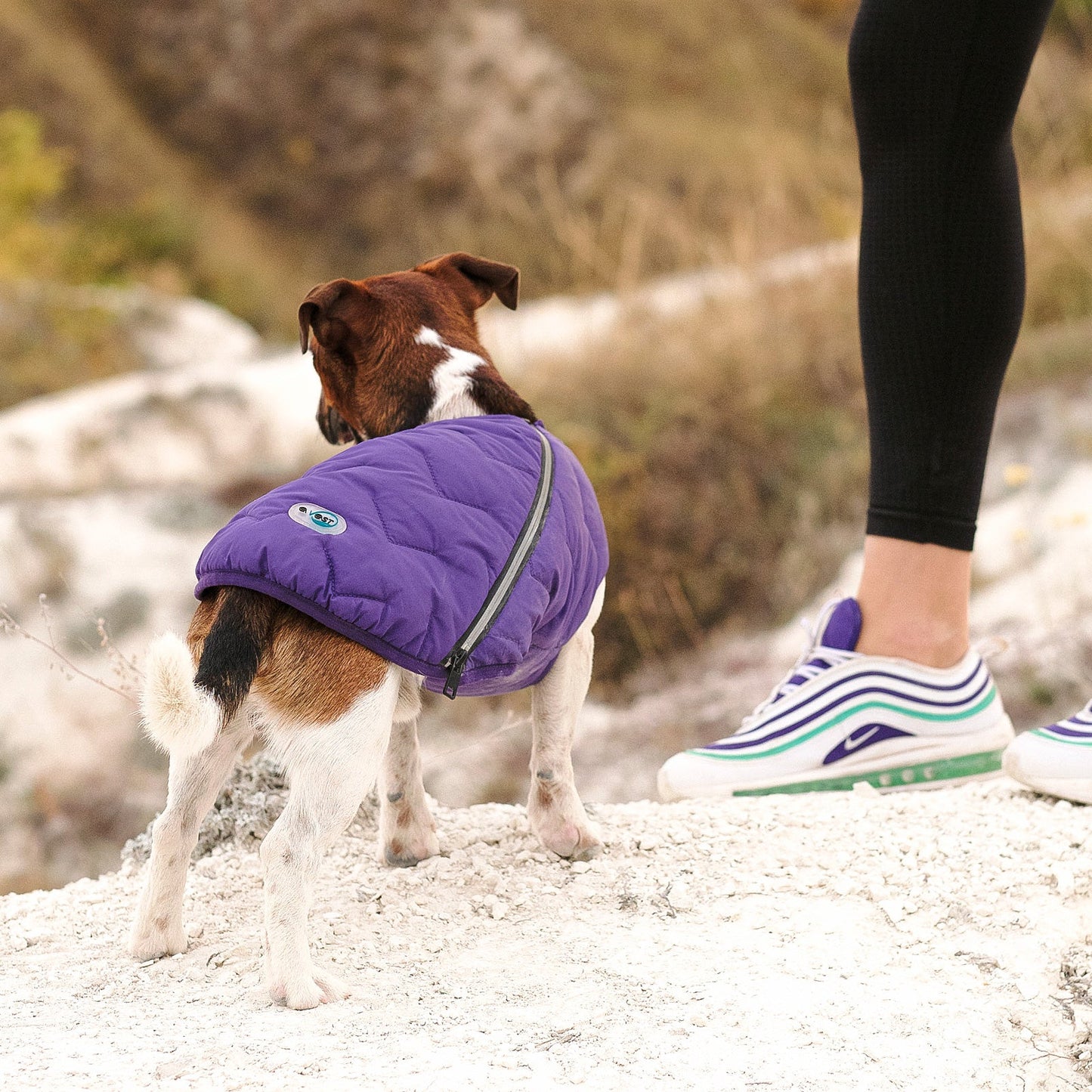 All-Weather Eco Dog Jacket – Waterproof, Windproof & Made in Ukraine