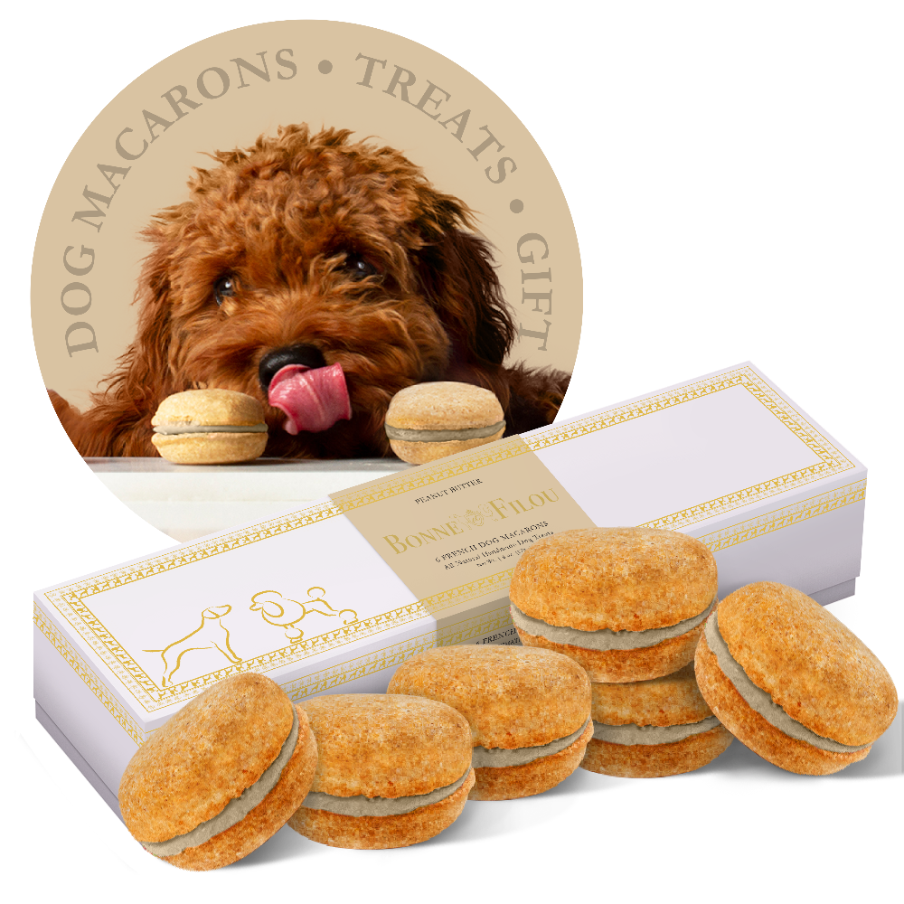 Gourmet Dog Macarons – Premium Handmade Treats Box of 6
