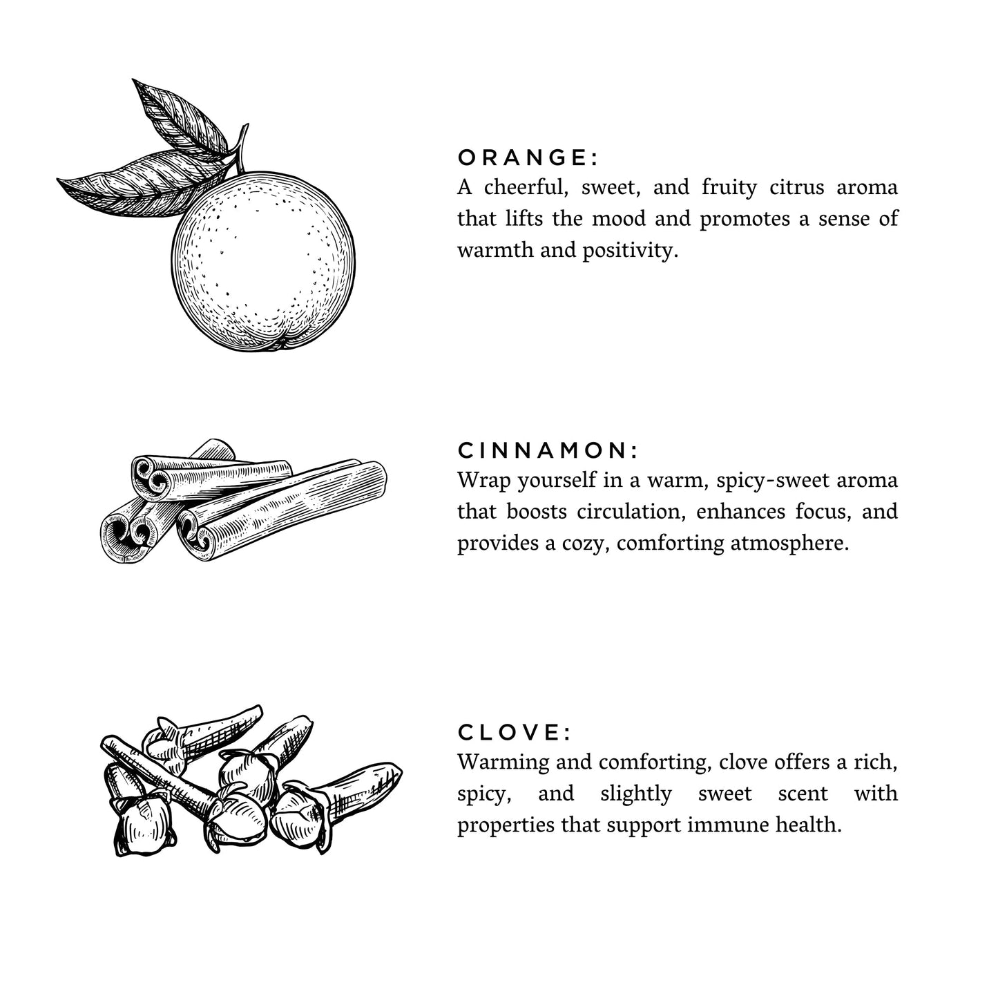 Orange + Clove Signature 3‑Wick Candle