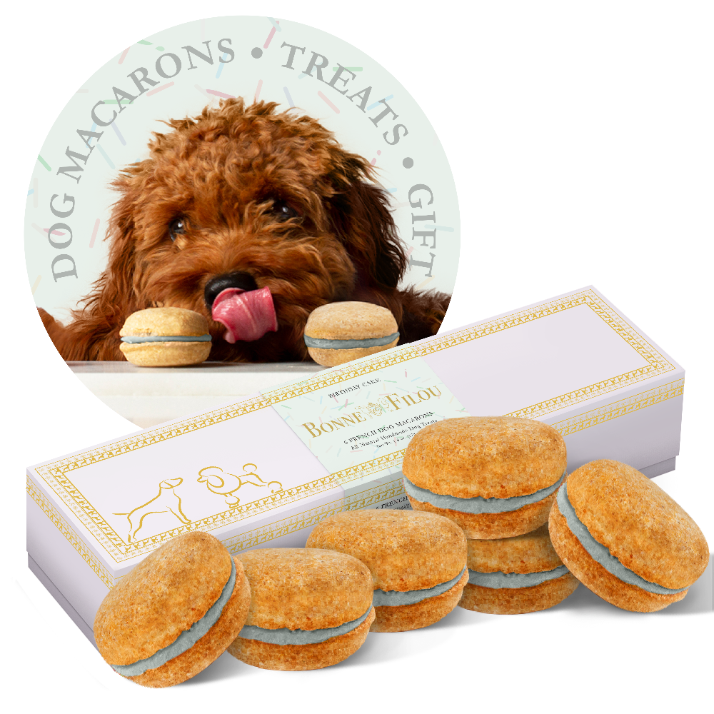 Gourmet Dog Macarons – Premium Handmade Treats Box of 6