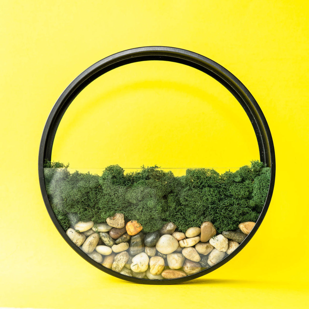 Wall Terrarium Craft Kit for Modern Greenery and Home Decor Gift Sets!