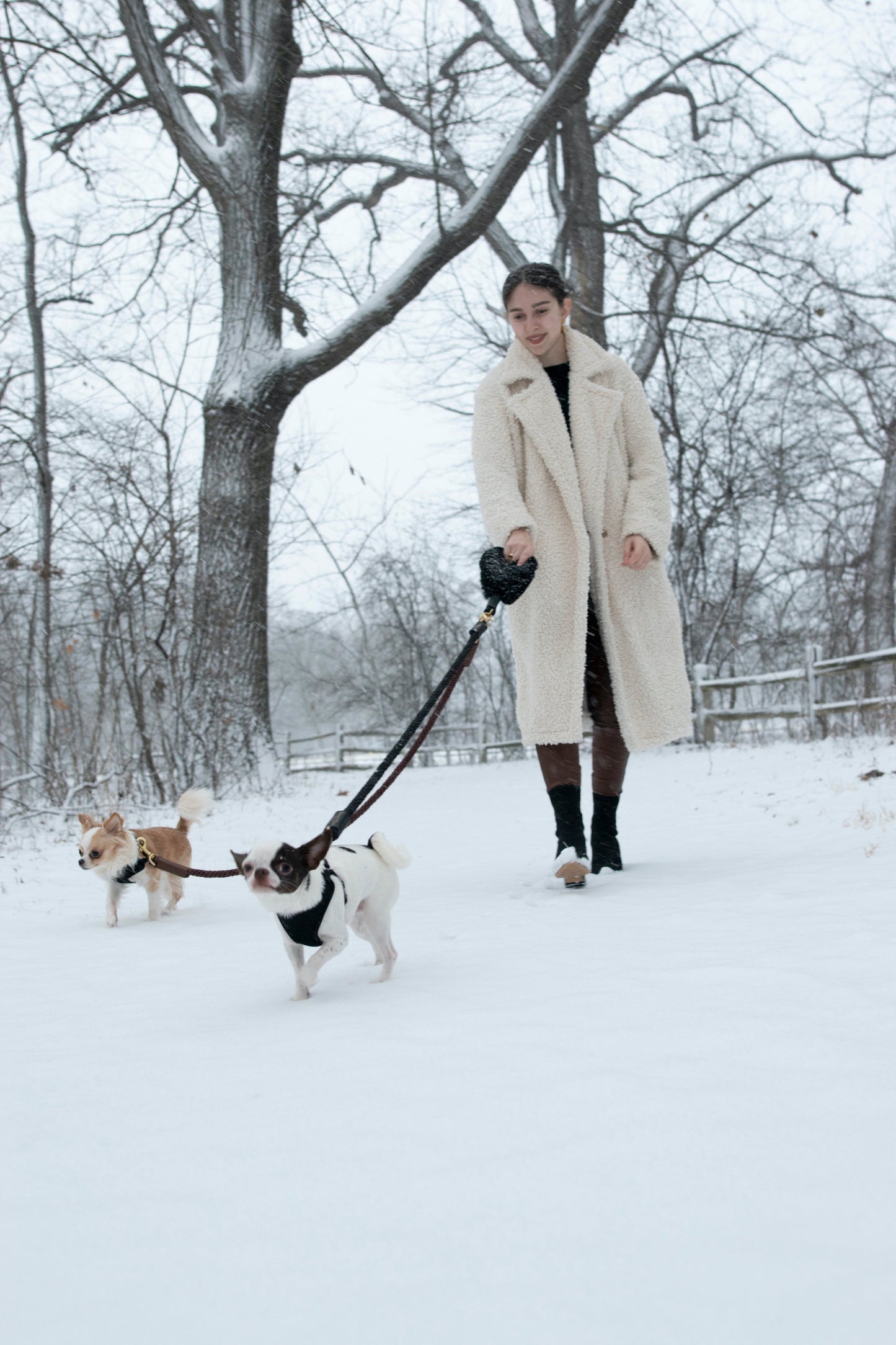Luxury Shearling Grip + Durable Rope Dog Leash Bundle – 5ft