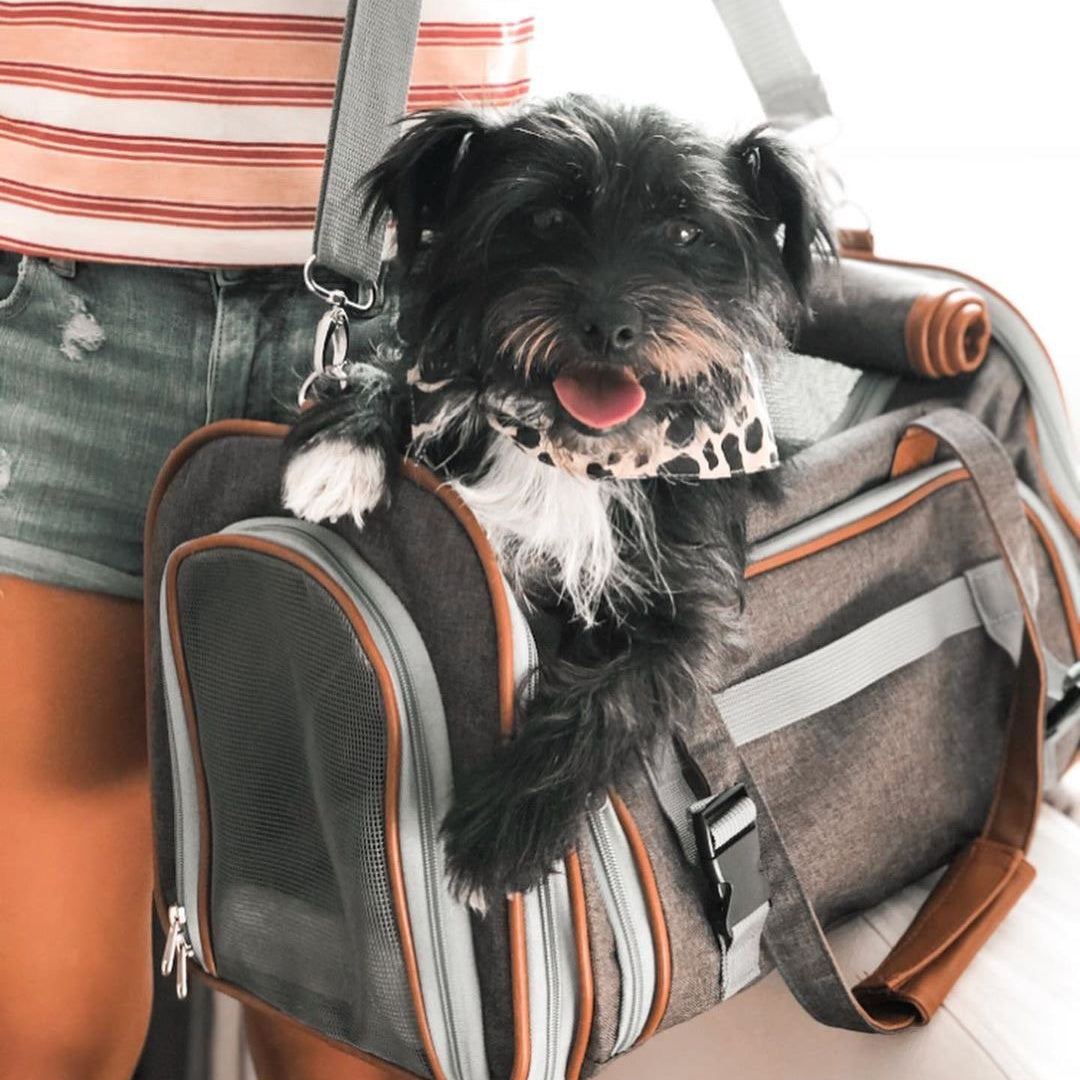 Airline Approved Expandable Pet Carrier with Safety & Comfort