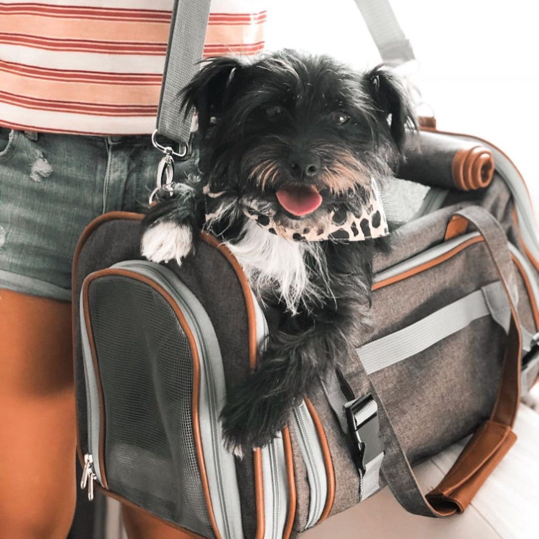 Compact Airline-Approved Expandable Pet Carrier – Mr. Peanut’s Gold Mini
