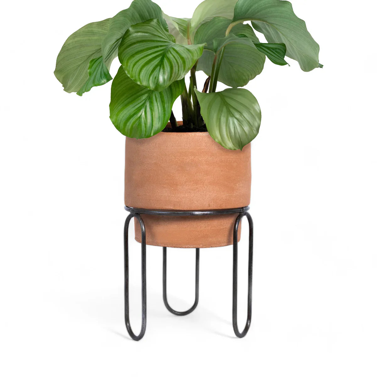 Jaro Medium Terracotta Planter – Handcrafted Artisan Pot Decor