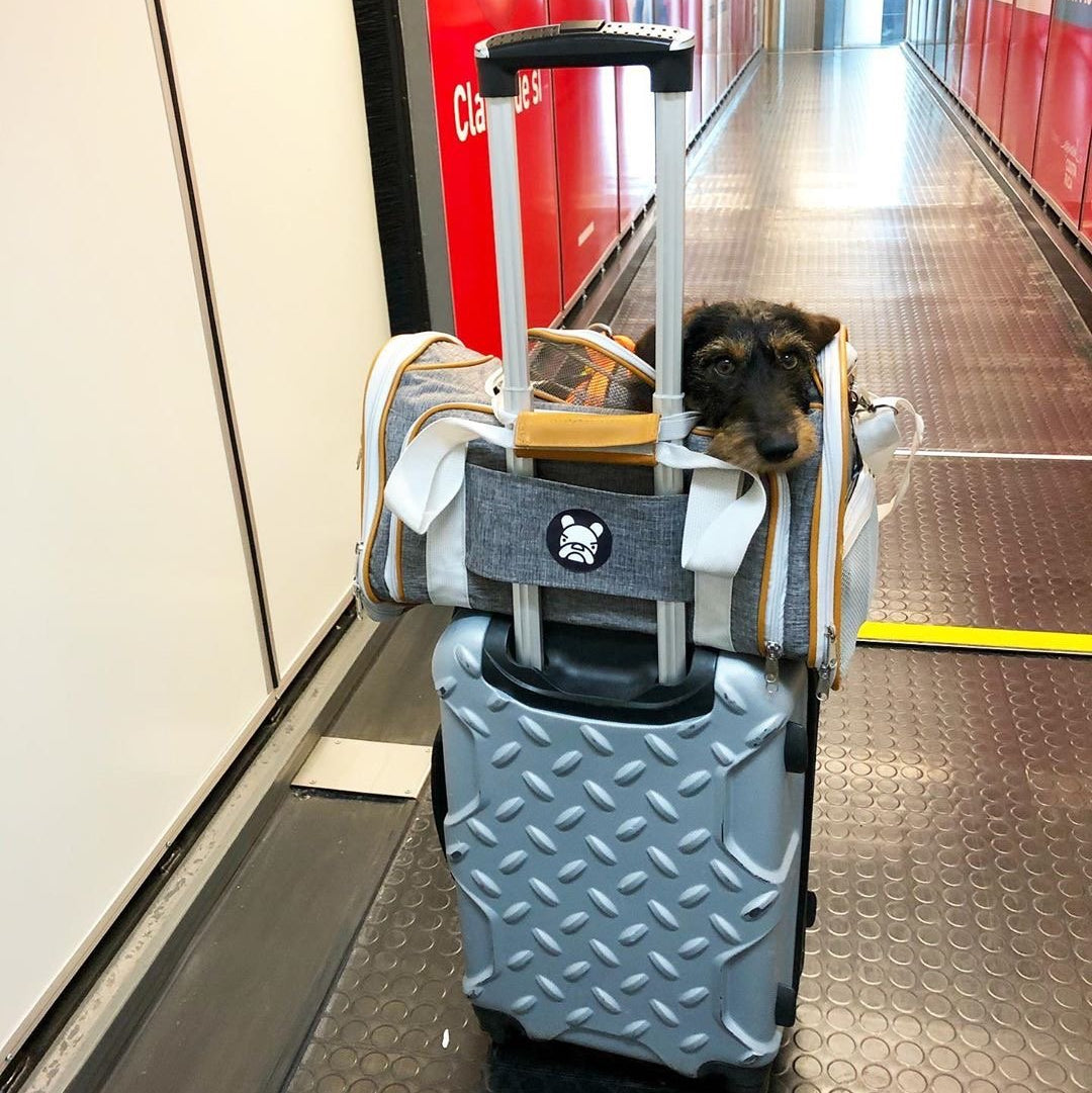 Airline Approved Expandable Pet Carrier with Safety & Comfort