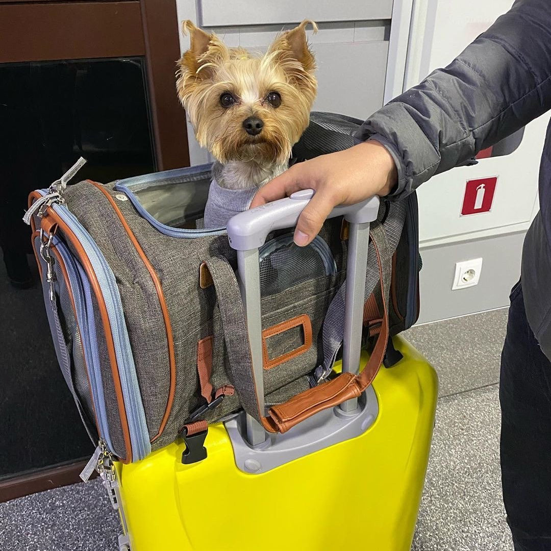 Airline Approved Expandable Pet Carrier with Safety & Comfort