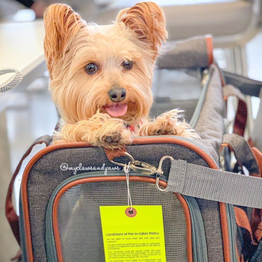 Airline Approved Expandable Pet Carrier with Safety & Comfort