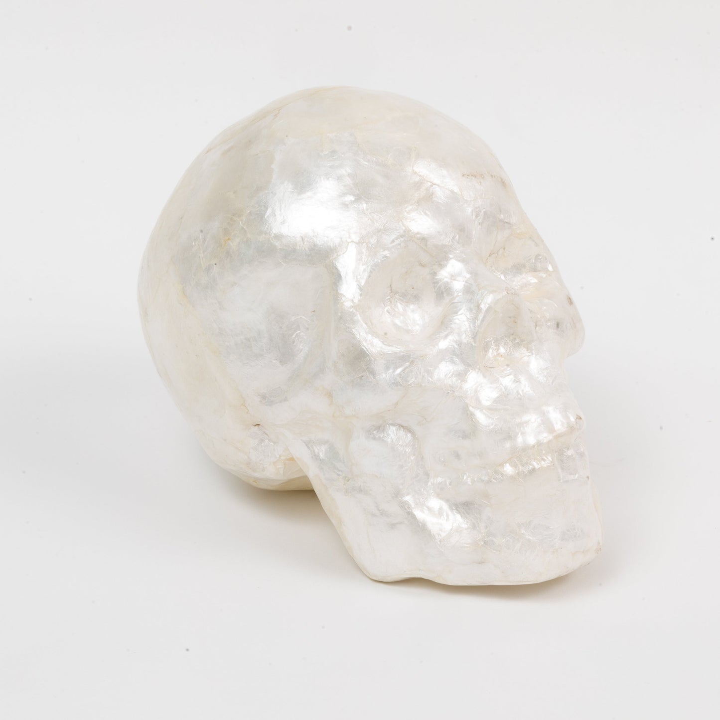 Capiz Skull Pearl Decorative Accent for Halloween and Year-Round Décor