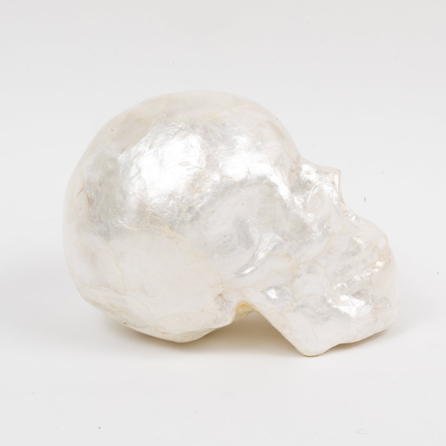 Capiz Skull Pearl Decorative Accent for Halloween and Year-Round Décor