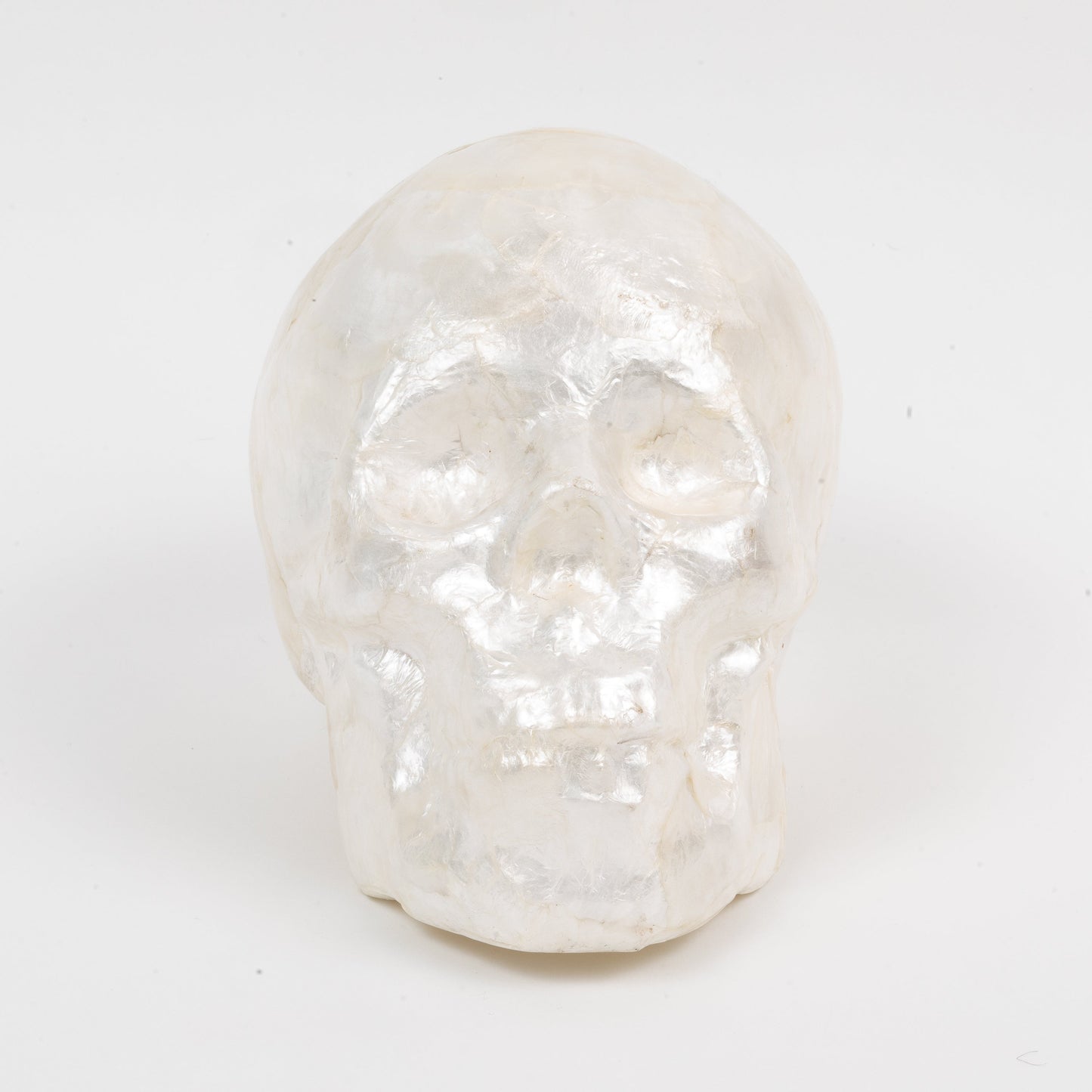Capiz Skull Pearl Decorative Accent for Halloween and Year-Round Décor