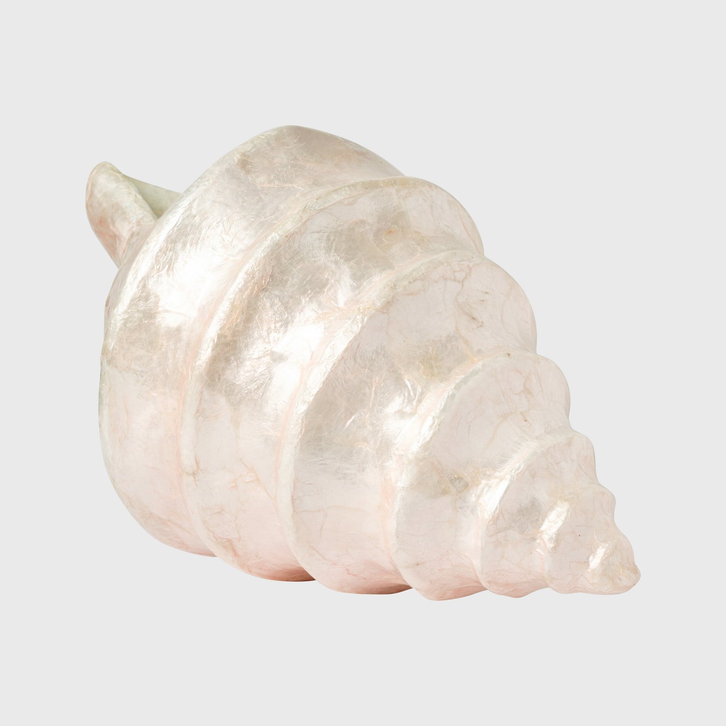 Capiz Shell Decorative Object Pale Pink Coastal Home Shelf Accent Gift