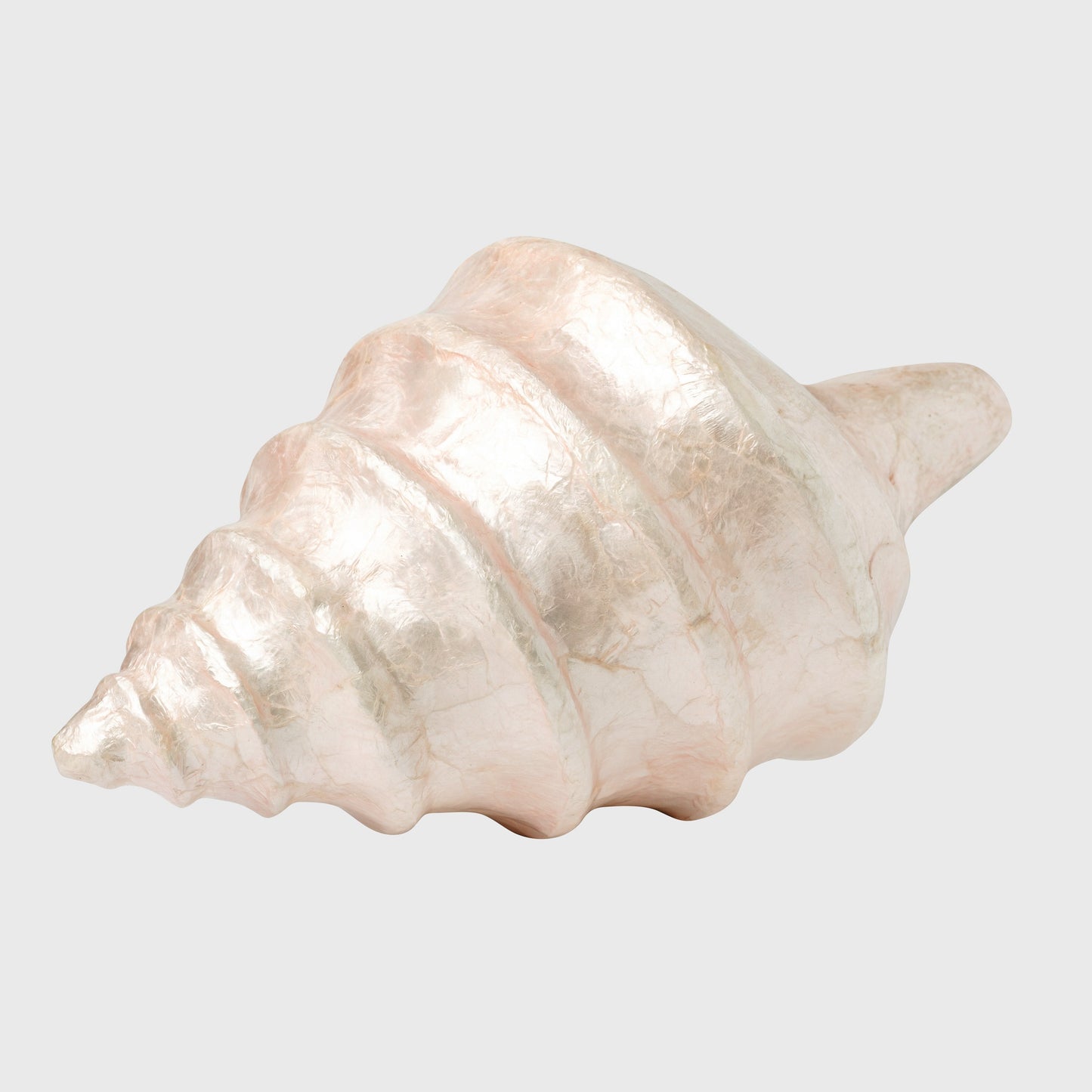 Capiz Shell Decorative Object Pale Pink Coastal Home Shelf Accent Gift