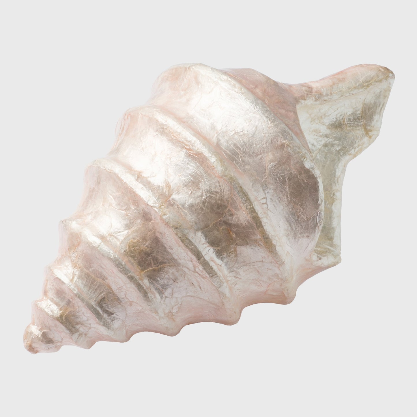 Capiz Shell Decorative Object Pale Pink Coastal Home Shelf Accent Gift