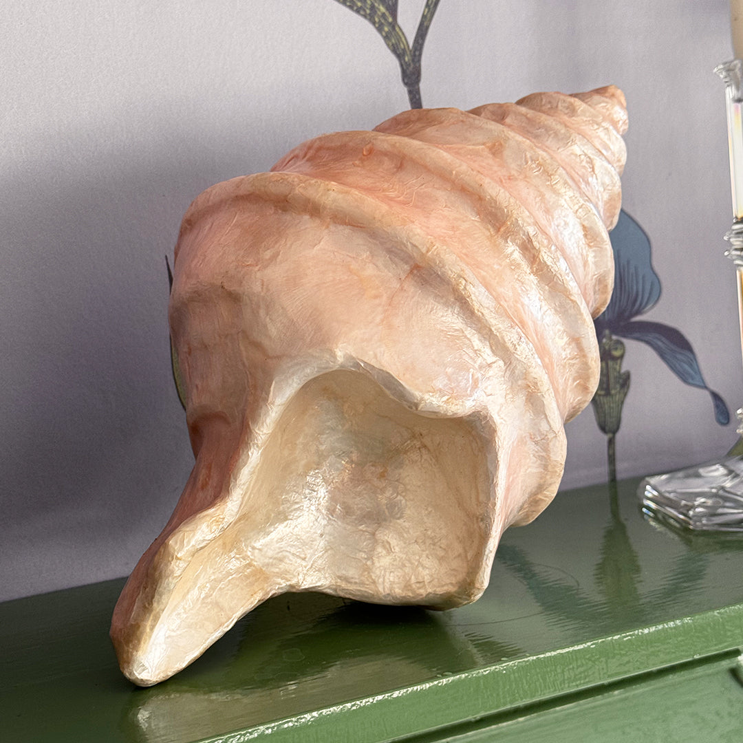Capiz Shell Decorative Object Pale Pink Coastal Home Shelf Accent Gift