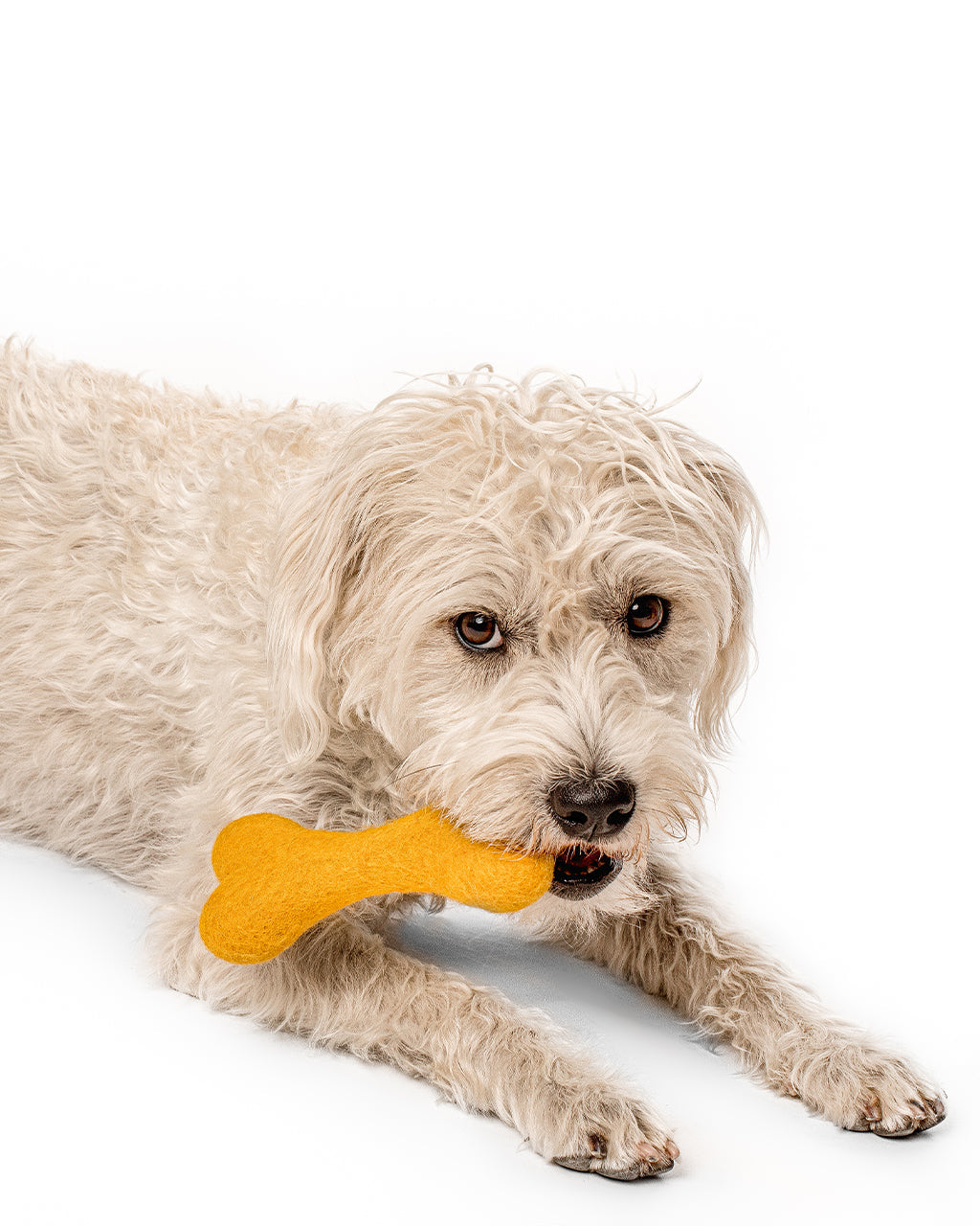 Eco-Friendly MB Woolbone – Durable Natural Wool Dog Fetch Toy