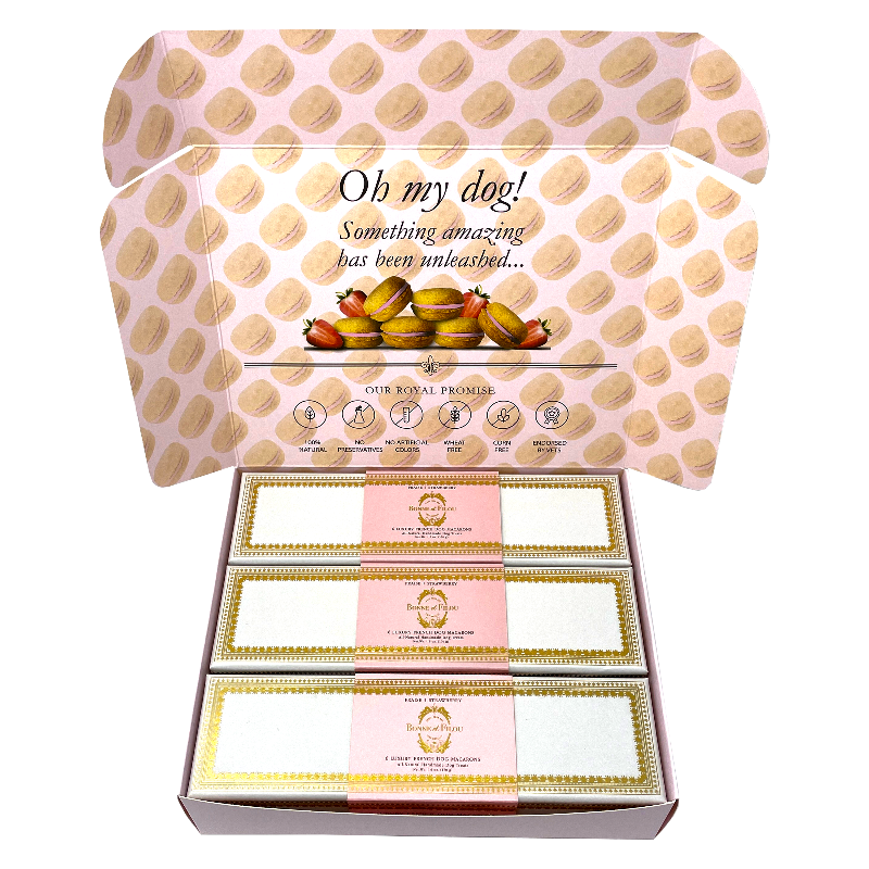 Luxury Dog Macaron Combo Gift Box – Gourmet Treats for Pups