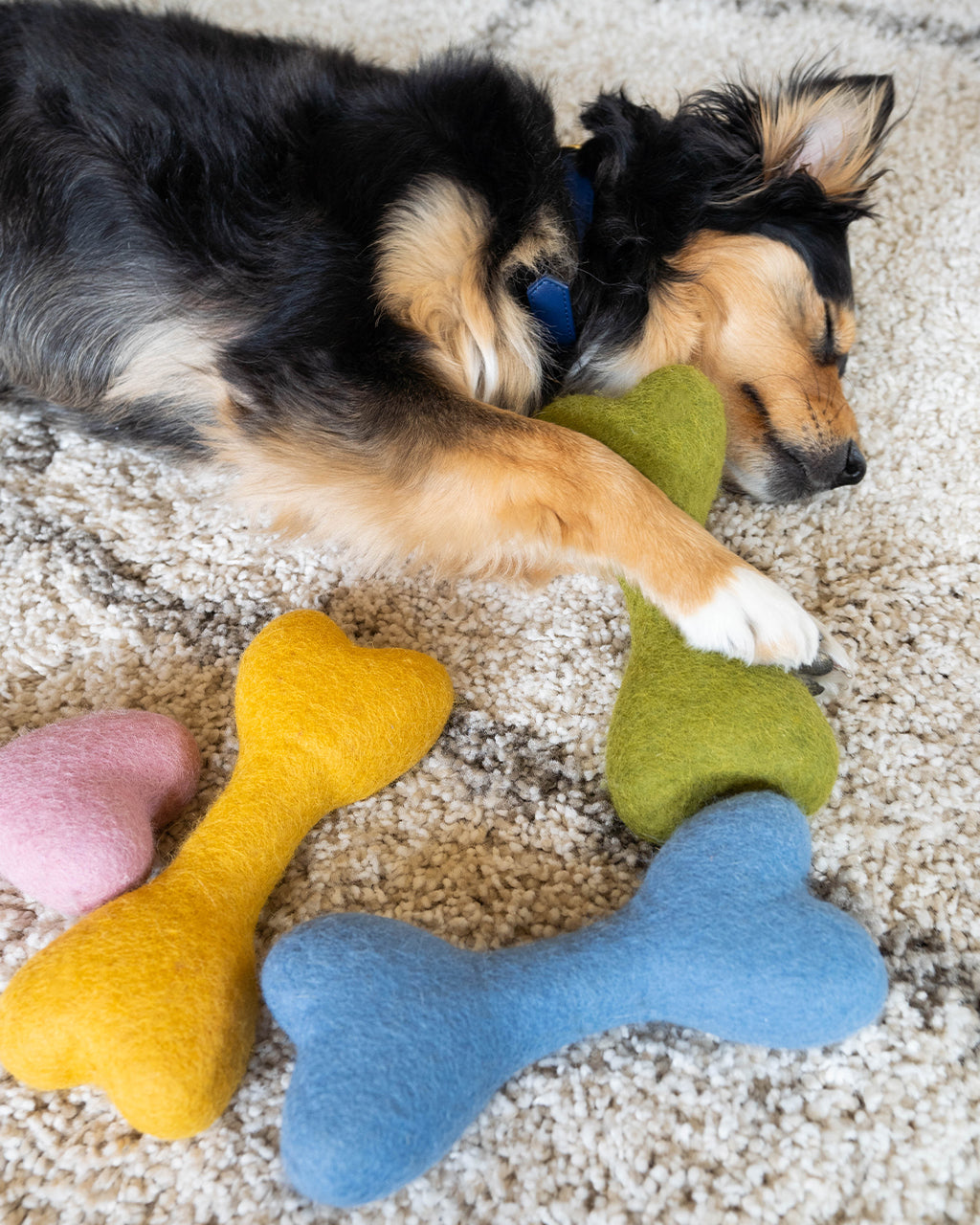 Eco-Friendly MB Woolbone – Durable Natural Wool Dog Fetch Toy