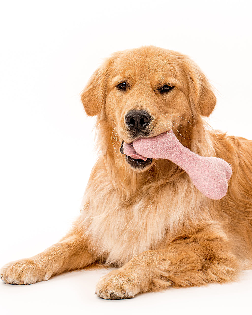 Eco-Friendly MB Woolbone – Durable Natural Wool Dog Fetch Toy