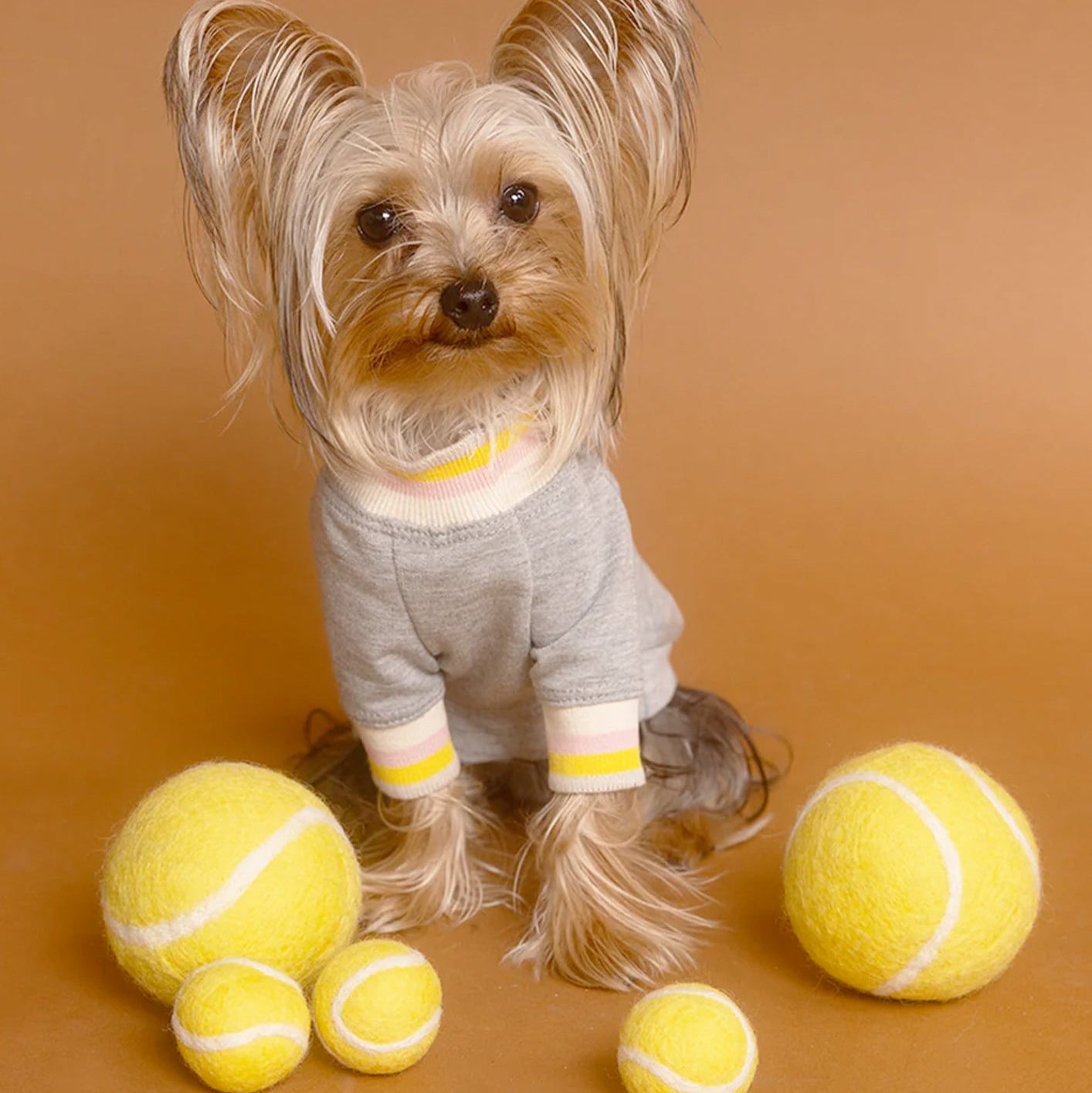 Eco-Friendly Wool Tennis Ball – Safe Fetch Toy for Pets