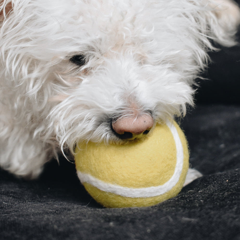 Eco-Friendly Wool Tennis Ball – Safe Fetch Toy for Pets