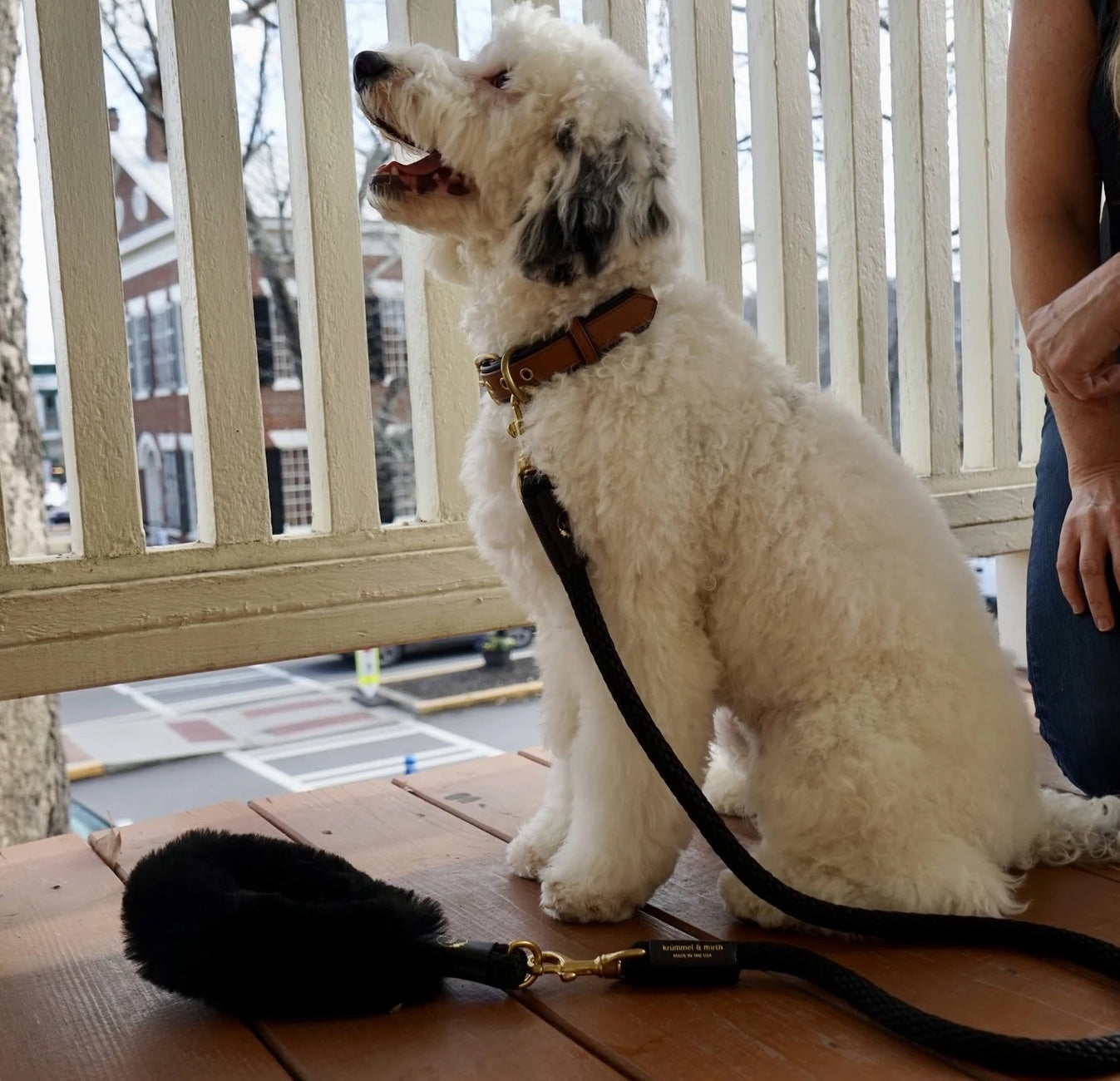 Luxury Shearling Grip + Durable Rope Dog Leash Bundle – 5ft