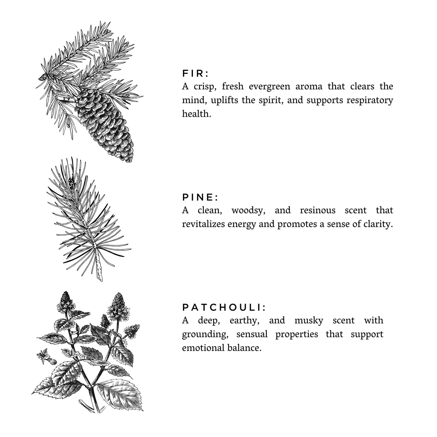 Forest Bathing Signature 3-Wick Candle