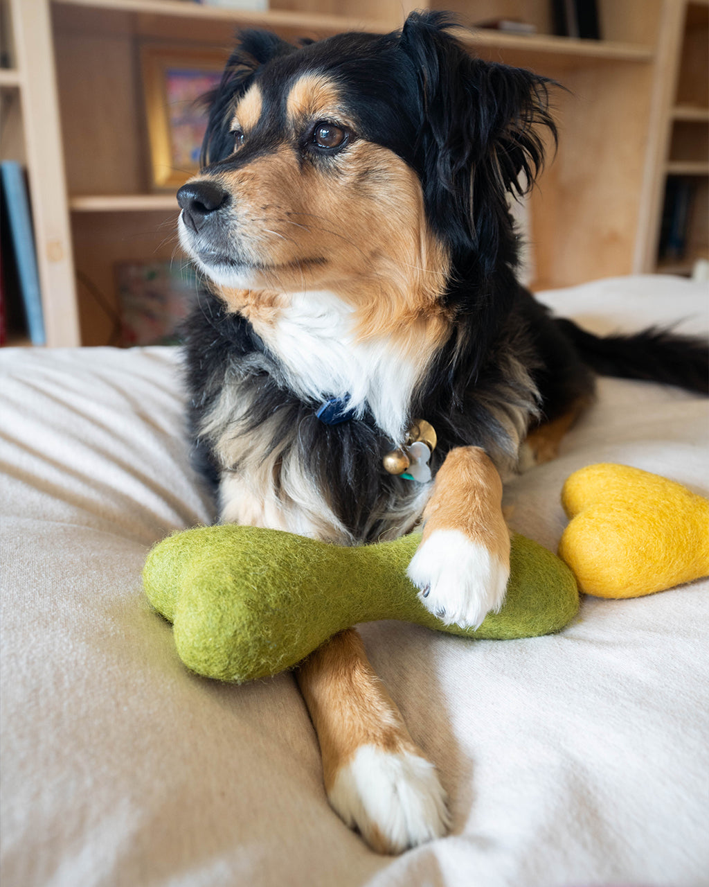 Eco-Friendly MB Woolbone – Durable Natural Wool Dog Fetch Toy