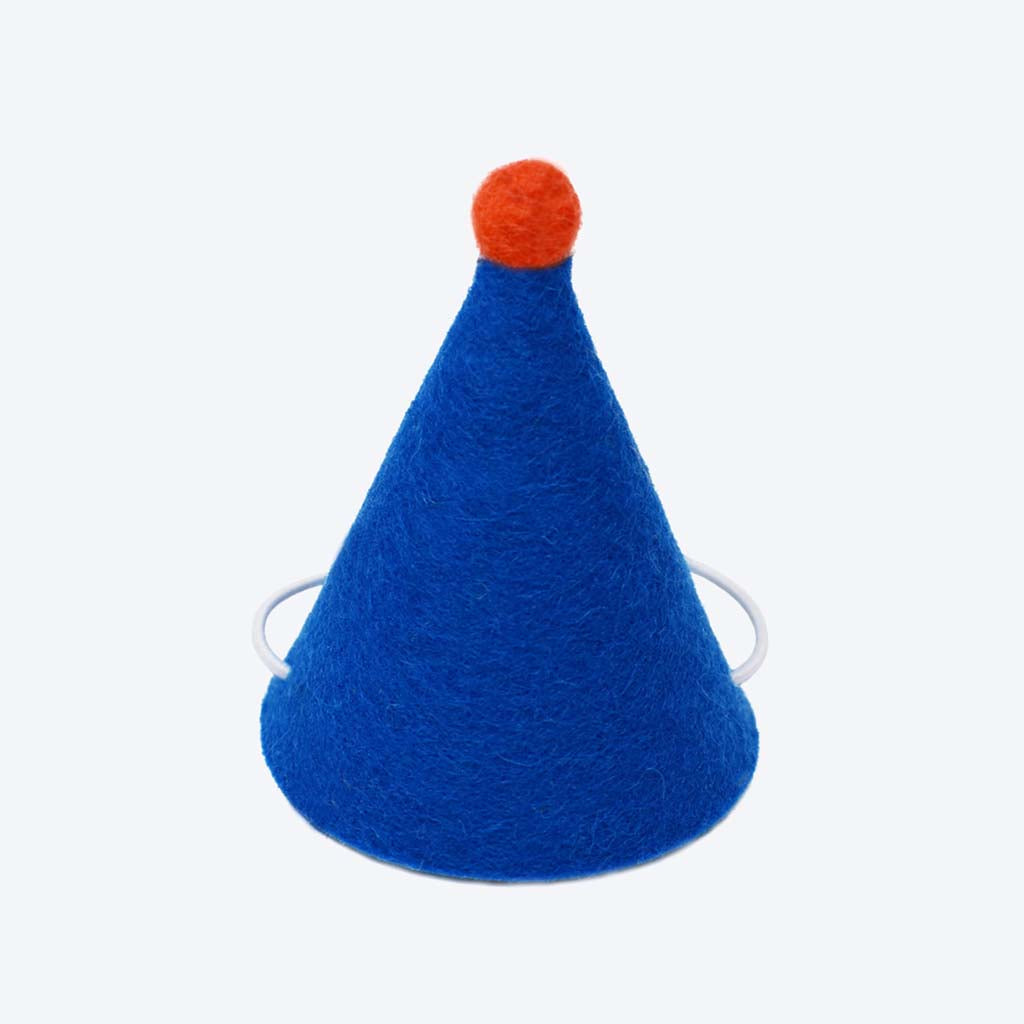 Colorful Wool Felt “PAWTY” Hat with Pom Pom – Festive Fun