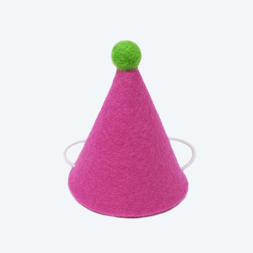 Colorful Wool Felt “PAWTY” Hat with Pom Pom – Festive Fun