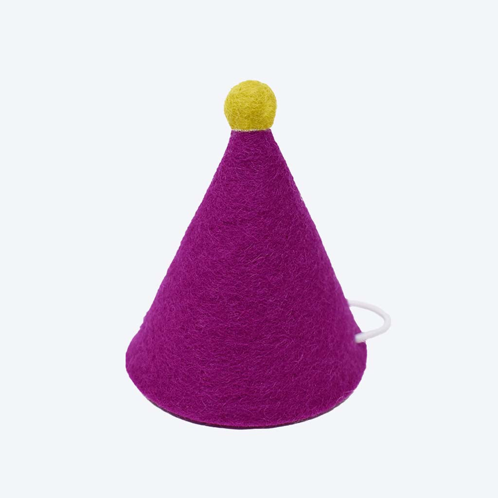 Colorful Wool Felt “PAWTY” Hat with Pom Pom – Festive Fun